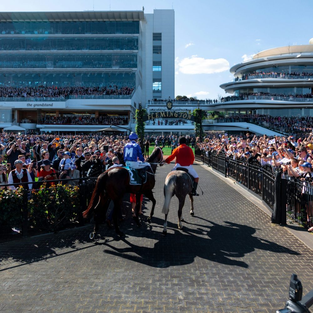 josh-chiodo-TxxkHJ643Ow-unsplash